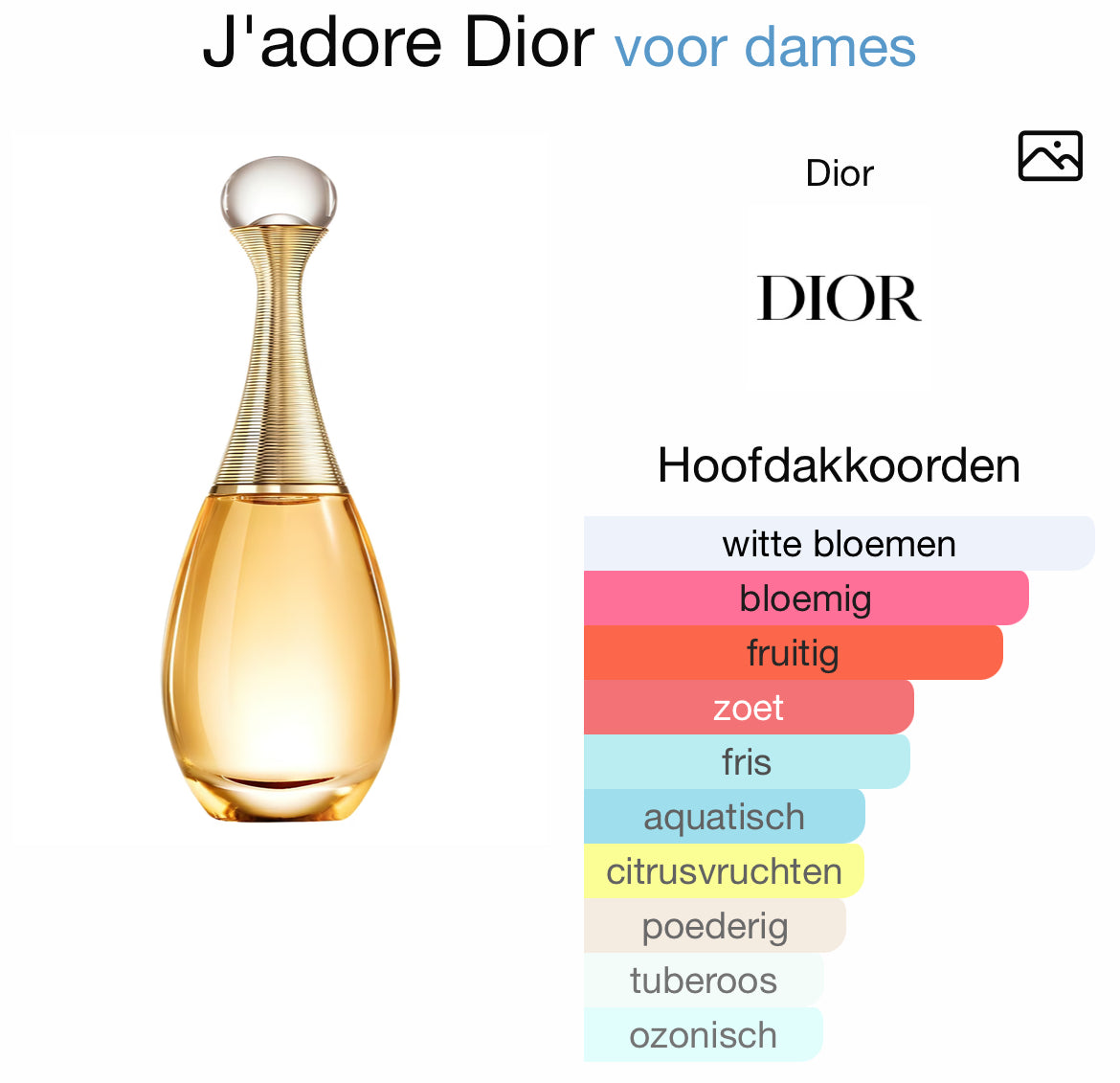 J'adore - Dior - eau de parfum - 100ml